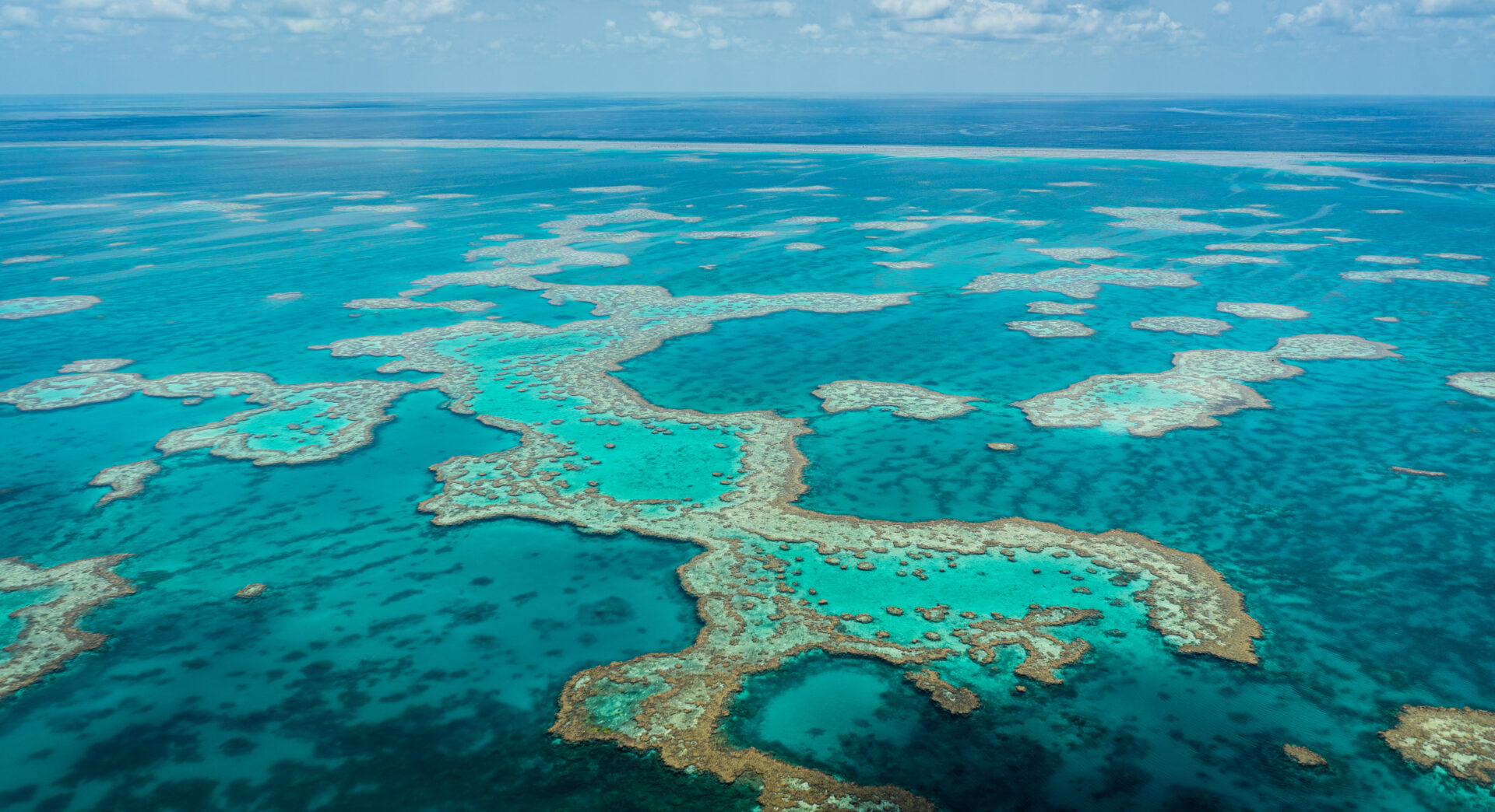 Australia Uncovered: Cities, Islands, Reef, and Rainforests