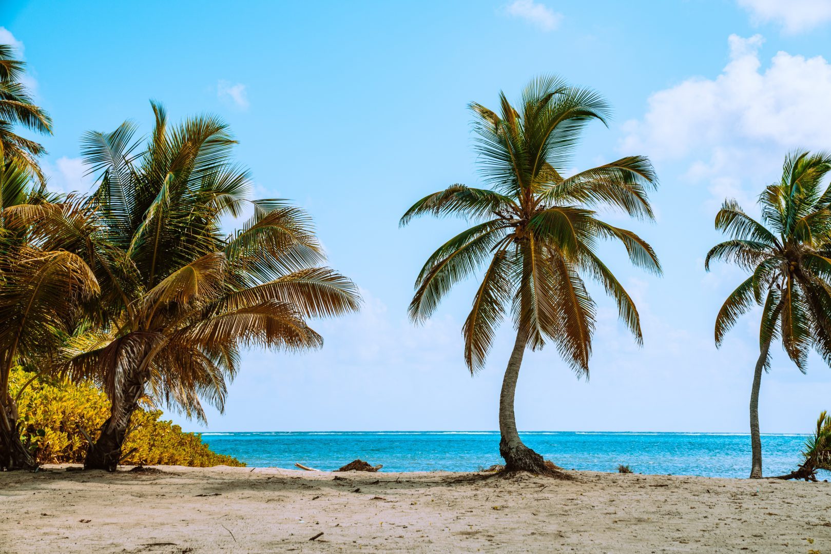 Belize:  Rainforest, Tikal & the Caribbean Islands