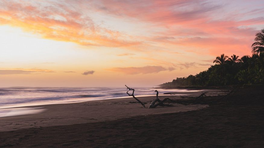 Costa Rica - Tortuguero - Beach