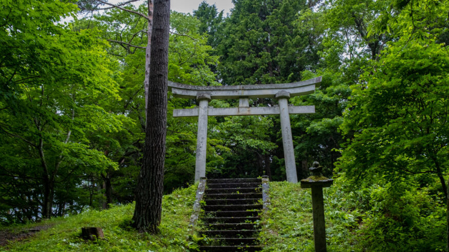 Forest temple