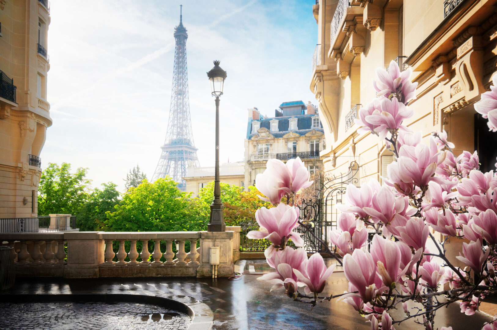Classic France